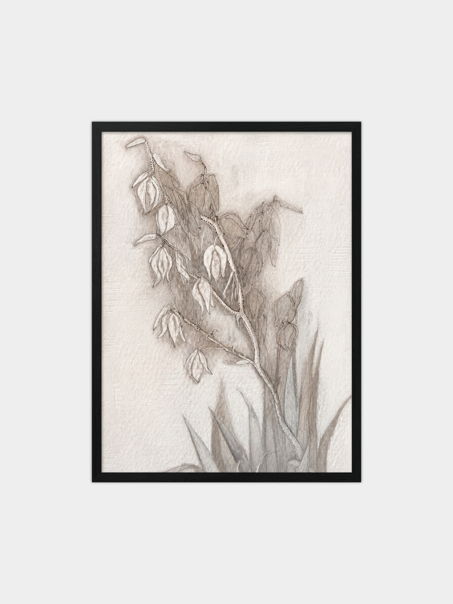 Yucca