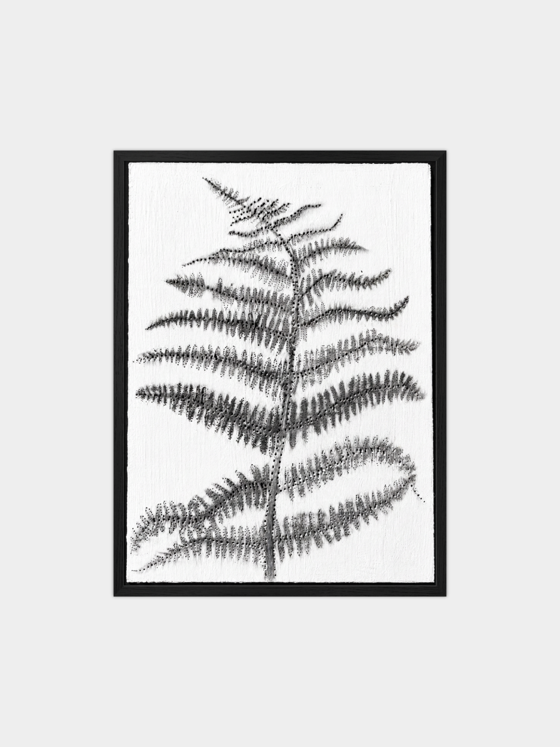 Fern