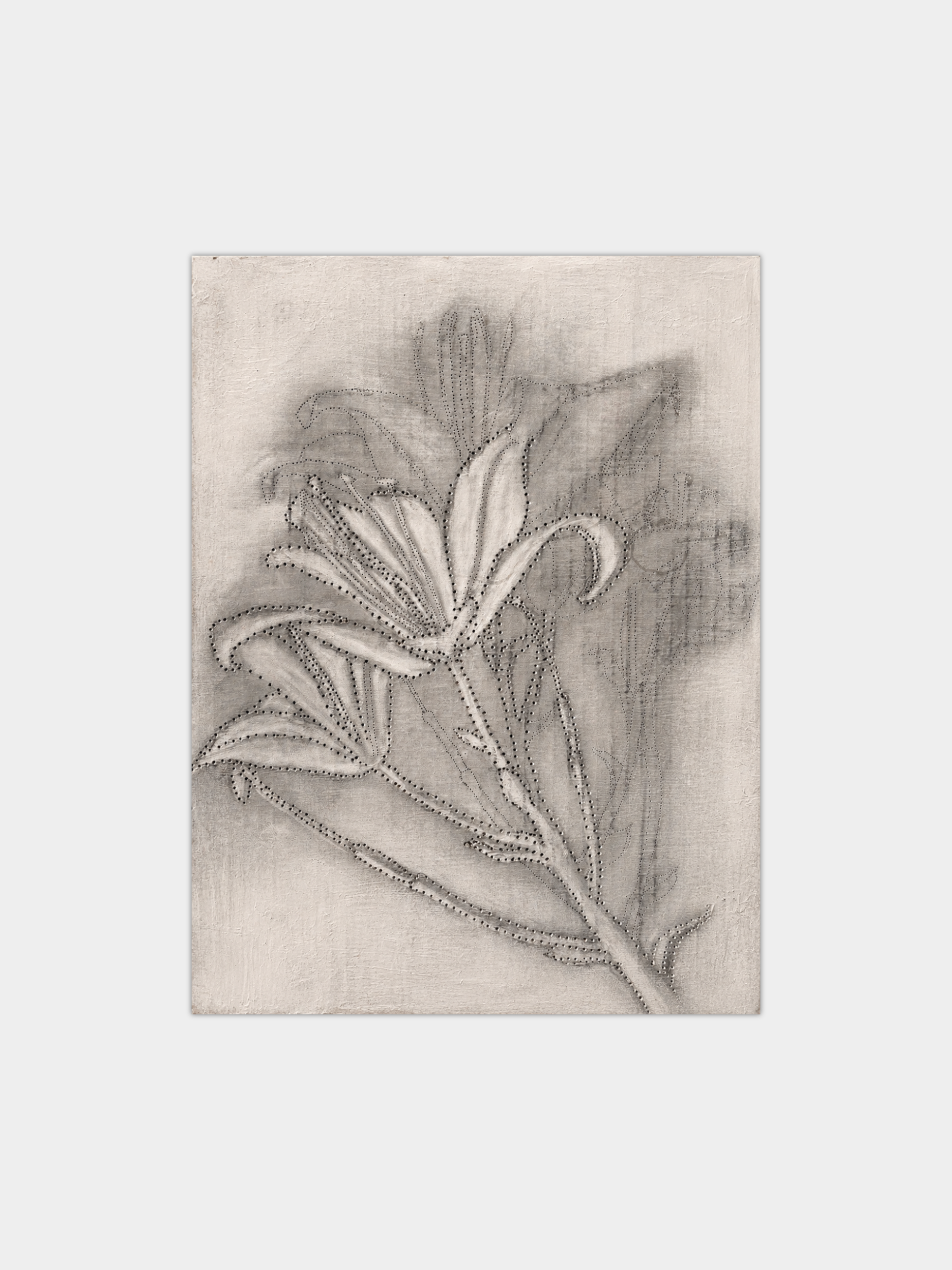 Lily