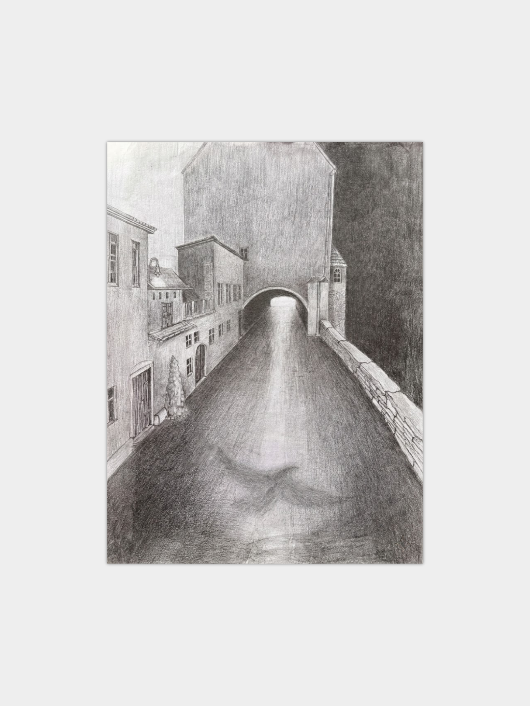 The Street and Its Shadow