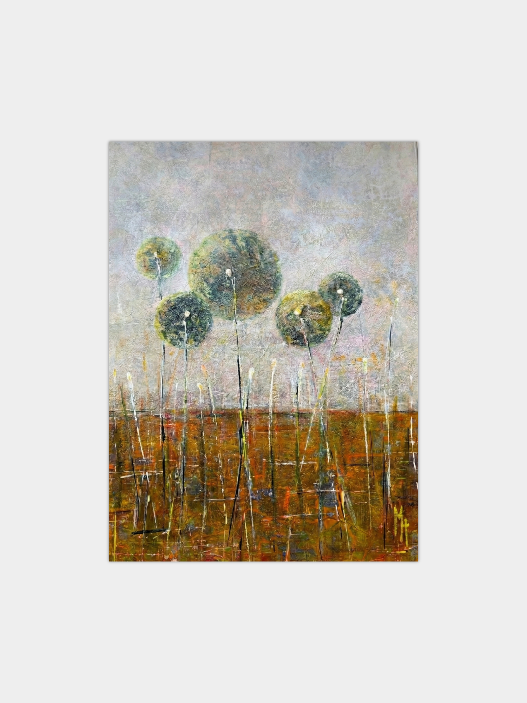 Dandelion Field